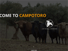 Tablet Screenshot of campotoro.es